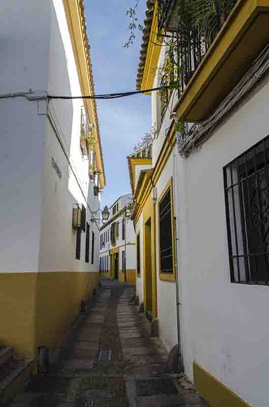 Córdoba 234 - calle.jpg
